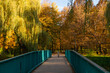 Sielecki Park in Sosnowiec