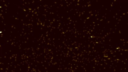 Poster - abstract particle dust burning hot sparks random flowing on black background. seamless looped 3d ani