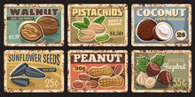 Nuts And Seeds Rusty Plates. Walnut, Pistachios And Coconut, Sunflower Seeds, Peanut And Hazelnut Vector Grungy Tin Signs. Organic Food Market Or Farm Banners, Price Tags