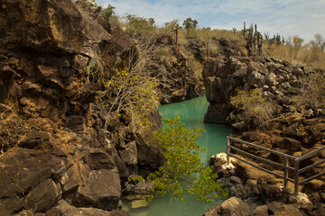 Wall Mural - Rocky coast of one of the Galapagos Islands, Ecuador.