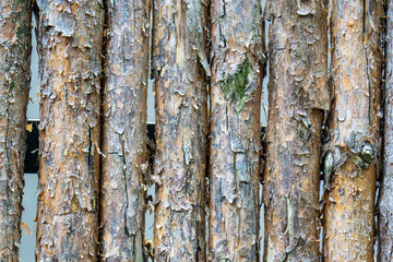 Poster - old wood texture