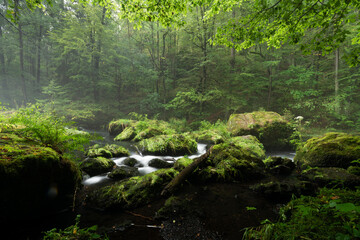 smooth motion of wild water in a river in summer with rocks and stones in the beautiful nature of a forest - triebtal