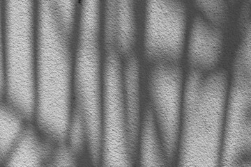 Canvas Print - Black and White abstract background texture of shadows leaf on a concrete wall.