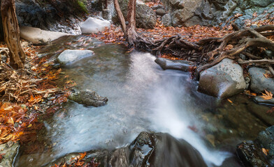 Wall Mural - Autumn creek