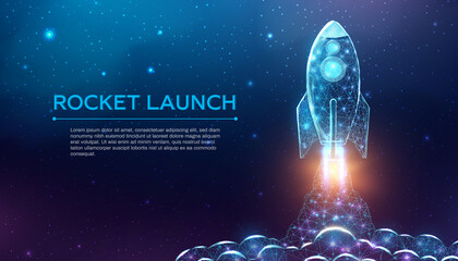 Wall Mural - rocket launch, wireframe polygonal style. internet technology network, business startup concept with