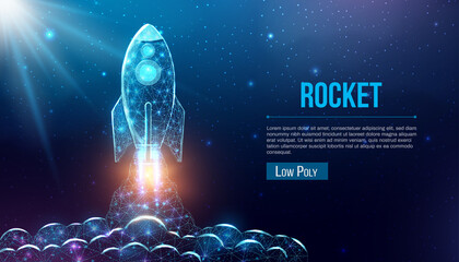 Wall Mural - rocket launch, wireframe polygonal style. internet technology network, business startup concept with