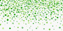 Shamrock Or Green Clover Leaves Pattern Background Flat Design Vector Illustration Isolated On White Background. St Patricks Day Shamrock Symbols Decorative Elements Pattern.