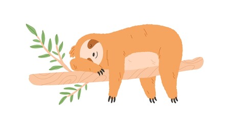 Sleepy lazy sloth sleeping on tree branch. Cute happy animal lying. Asleep baby character relaxing and resting with paws hanging down. Flat vector illustration isolated on white background