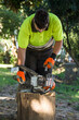 © tetxu - lumberjack or forestry worker working with chainsaw