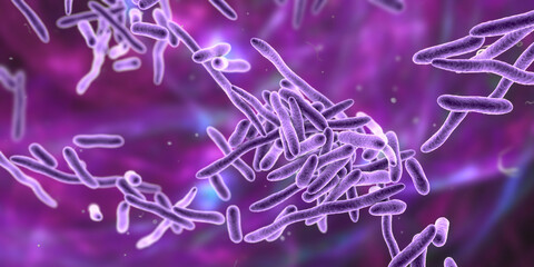 Wall Mural - Erysipelothrix bacteria, 3D illustration