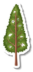 Poster - Sticker evergreen tree on white background