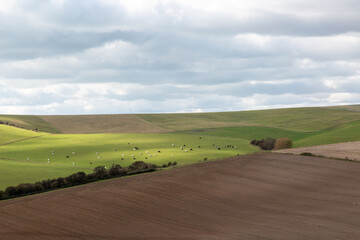  Looking out over farmland in Sussex on aa autumn day