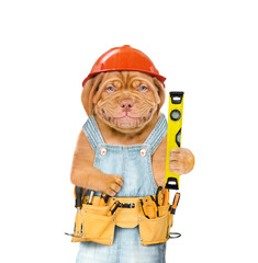 Poster - Funny mastiff puppy worker wearing hard hat, overalls and tool belt holds spirit level. Isolated on white background