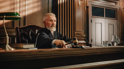 Wall Mural - Court of Law Trial: Portrait of Impartial Judge Reading Decision, striking Gavel. Justice Pronouncing Sentence. Judgment after Deliberation. Guilty, Not Guilty Verdict. Cinematic Concept Rule of Law