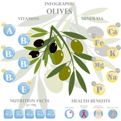 Wall Mural - Olives nutrition facts and health benefits infographic