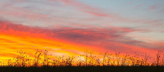 Wall Mural - beautiful sunset on dramatic stormy red sky