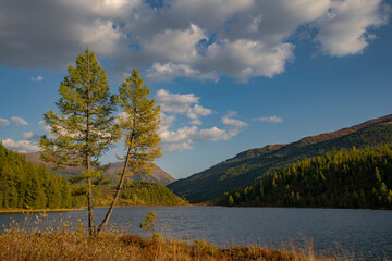 Wall Mural - lake in the mountains