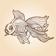 goldfish outline outline drawing. vector