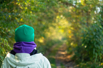 Wall Mural - A young woman in warm clothes is hiking along the forest path in the autumn season.