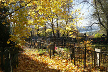 Golden Autumn In The Rural Cemetery