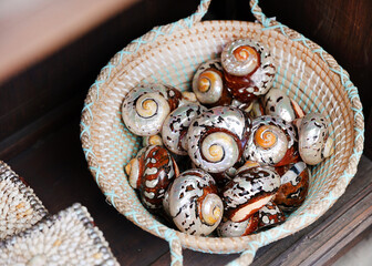 Poster - basket of shells