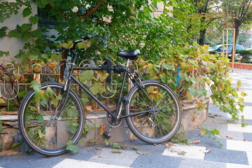 Men's black  bicycle parked outdoor near building, fastened to low fence, on paved alley in the city in autumn