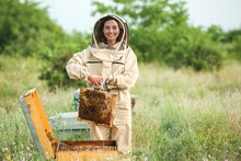 Female Beekeeper Working At Apiary