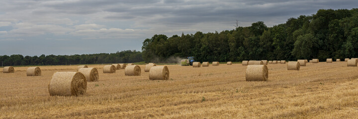 Poster - Panoramic shot of haystacks in a field