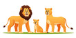Set of lion family cartoon illustration
