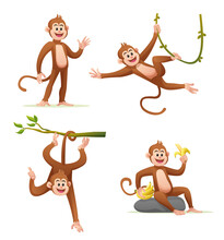 Cute Monkey In Various Poses Cartoon Illustration