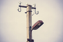 Old Rusty Lantern On A Concrete Pole.