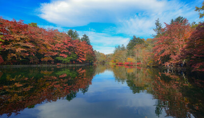 Wall Mural - Beautiful lake view in autumn