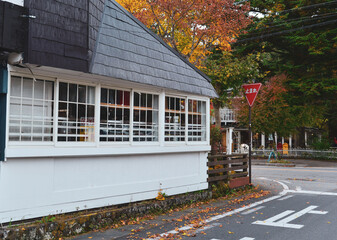 Wall Mural - Scene of street at autumn in Karuizawa, Japan