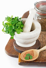 Wall Mural - Coriander fresh greens cilantroisolated on the white.