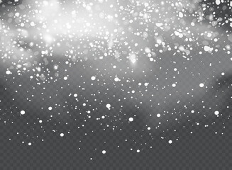 Wall Mural - Realistic falling snowflakes. Isolated on transparent background. Vector illustration