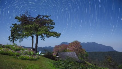 Wall Mural - time lapse, a wonderful winter scene. beautiful star trail at mae taman viewpoint in chiang mai, wit