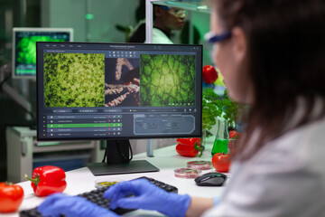 Wall Mural - chemist doctor analyzing genetically modified plants on computer typing microbiology expertise durin