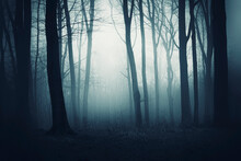Dark Woods At Night, Fantasy Background