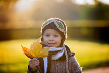 Poster - Little toddler child, boy, playing with airplane and knitted teddy bear in autumn park