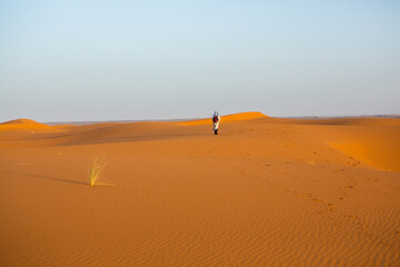 Wall Mural - Beautiful sand dunes in the Sahara Desert in Morocco. Landscape in Africa in desert.