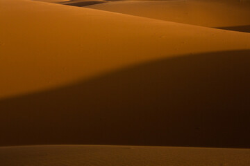 Wall Mural - Beautiful sand dunes in the Sahara Desert in Morocco. Landscape in Africa in desert.