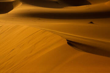 Wall Mural - Beautiful sand dunes in the Sahara Desert in Morocco. Landscape in Africa in desert.