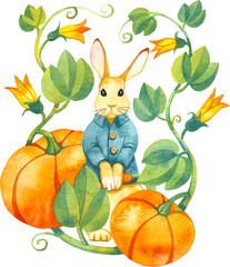 Little bunny with carrot wearing blue jacket surrounded by orange pumpkins, swirly vines with green leaves and yellow flowers, isolated watercolor illustration on white background