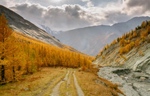 Akkem Valley In Altai Mountains Natural Park