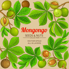 Wall Mural - mongongo vector frame on color background