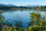 Fototapeta  - Lechstausee Urspring lake in Bavaria Germany.