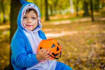 Wall Mural - a boy in a shark costume for halloween, with a bucket for sweets in the form of a pumpkin