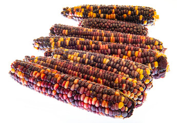 Wall Mural - multi colored indian corn in the detail