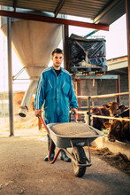 Young Farmer Wearing Blue Overall While Carrying Cart With Calf Food On His Farm
