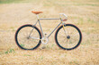 © Alberto Bogo/Westend61 - Handcrafted racing cycle on stubble field